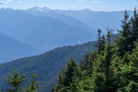 Sunny View Of The Cascade Mountains From The Hurricane Hill Hiking