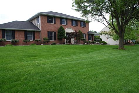 The more complex the job, the more likely it is that an amateur exterminator will make a mistake. DIY Lawn Care vs. Using a Pro: Costs, Considerations, and Results