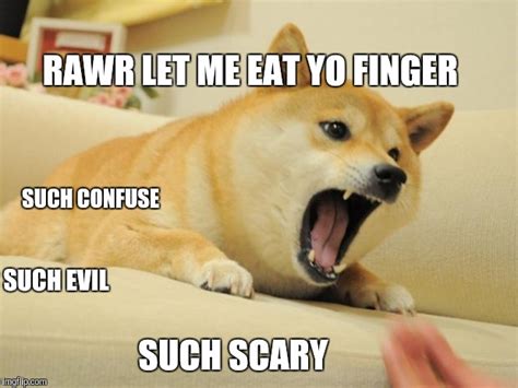 Evil Doge Imgflip