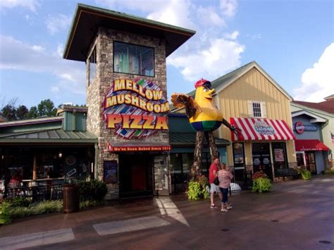 Mellow Mushroom Pigeon Forge Menu Prices And Restaurant Reviews