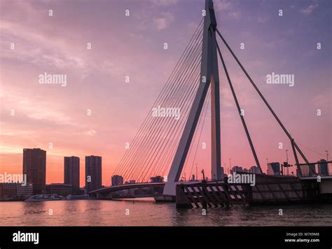 Erasmusbrug Erasmus Bridge At Sunset Rotterdam The Netherlands
