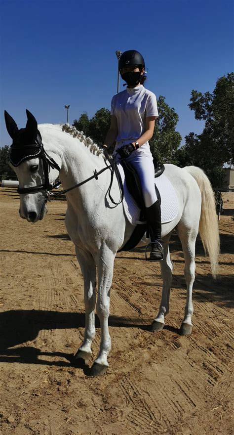 Arabian Horse Some History And Characteristics Of The Breed Gpi