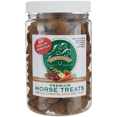 Giddyap Girls Premium Horse Treats W Probiotics 2lbs