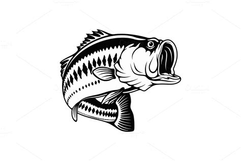Largemouth Bass In Attack Template Pre Designed Vector Graphics