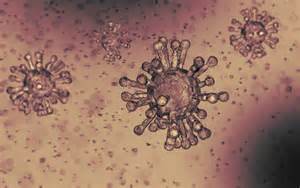 What is the coronavirus and how worried should we be? Coronavirus what to know: Symptoms, face mask, vaccine ...