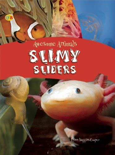 Slimy Sliders Qeb Awesome Animals Huggins Cooper Lynn