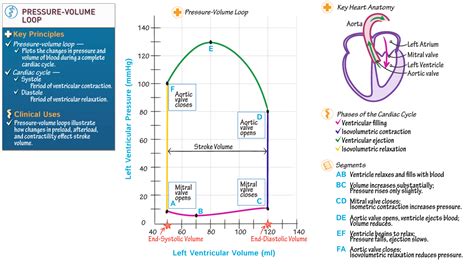 Physiology Pressure Volume Loop Left Ventricle Ditki Medical And Biological Sciences