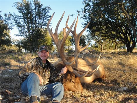 Texas Exotics Hunting Exotic Hunting Packages Divided Find Ranch