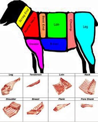 Baiklah, sebelum kita berpisah pihak editor berharap awak semua semua dapat kongsikan post ini iaitu download cepat himpunan contoh gambar siput. Gambar Bagian Daging Sapi Kambing Babi Karakter Gambar ...