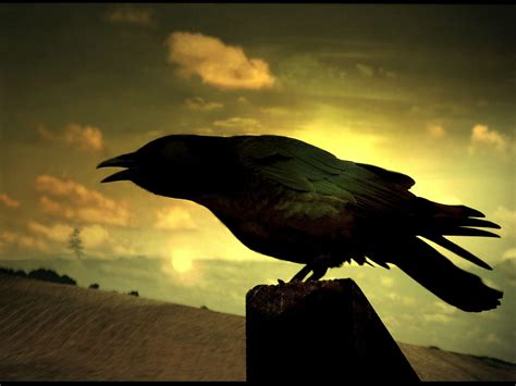 Oct 21, 2020 · the only difference with desktop wallpaper is that an animated wallpaper, as the name implies, is animated, much like an animated screensaver but, unlike screensavers, keeping the user interface of the operating system available at all times. Raven Wallpapers - Wallpaper Cave