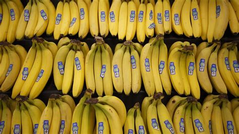 Worlds Top Banana Could Go Extinct Au — Australias Leading