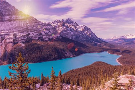 Photo Forest Banff National Park Rocks Free Pictures On Fonwall