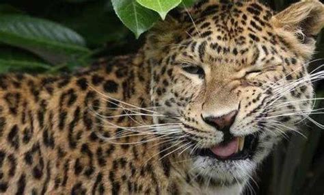 Are All of These Animals Professional Models?? | Cute overload - BabaMail