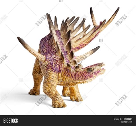 Kentrosaurus Dinosaur Image And Photo Free Trial Bigstock