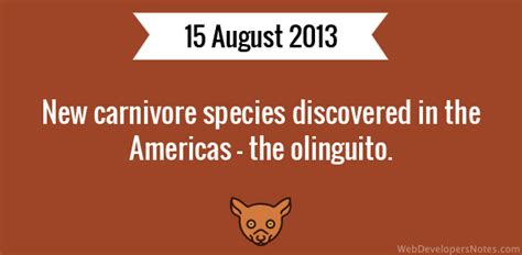 New Carnivore Species Discovered In Americas