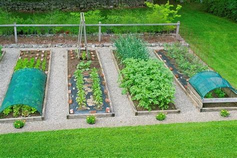 Sunflowers are one of the easiest plants to grow from seed. The Ultimate Guide to Using Shade Cloth in Your Garden in 2020