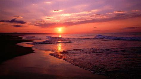 Free Download Twilight Landscape Beautiful Sunset Coast Desktop