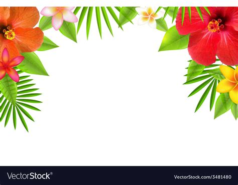 Tropical Flowers Border Royalty Free Vector Image