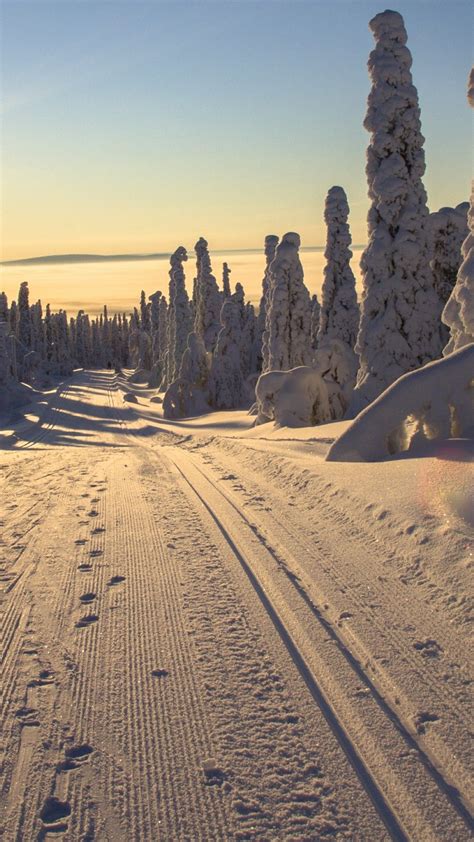 Lapland Winter Wonderland Backiee