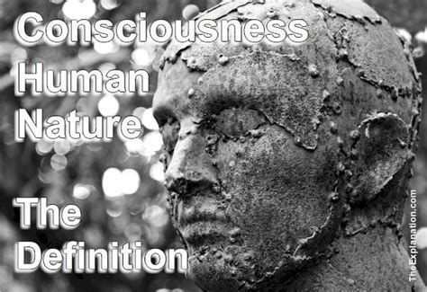 Human Nature And Consciousness The Definition The Explanation