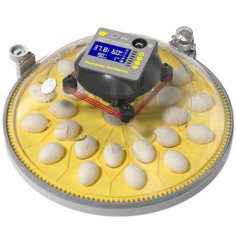 Buy Vanpopubs Incubators For Hatching Eggs 24 Egg Incubator With