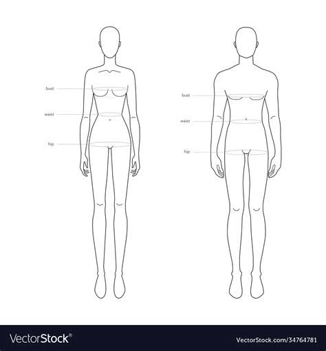 Men And Women Standard Body Parts Terminology Vector Image