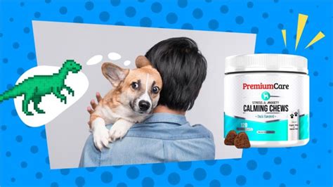 Calm treats focus on the treatment of your dogs anxiety. 2020 Review of the Best Calming Dog Treats | Best Dog ...