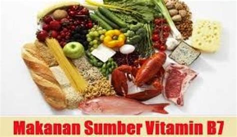️ Makanan Sumber Vitamin B Dan Manfaat Bagi Tubuh Kita Berita Dan Informasi