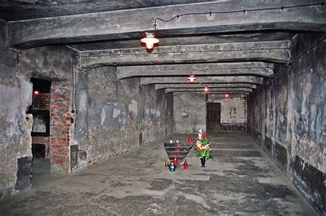 The main gas chambers were located at birkenau. Static electricity and the explosive gas chamber ...