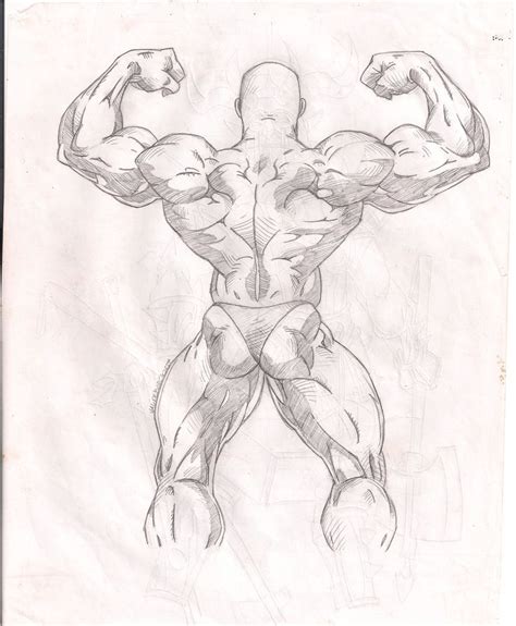 Muscle Sketch De Anatomia Muscles Anatomia Strongman Bodybuilder