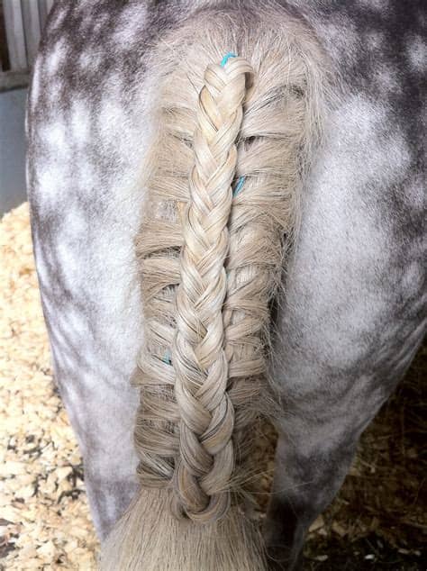 You may change conchos, paint colors, layouts, etc… for a one of a kind creation. A Hairdo for your horse: Braiding Wire it's the latest ...