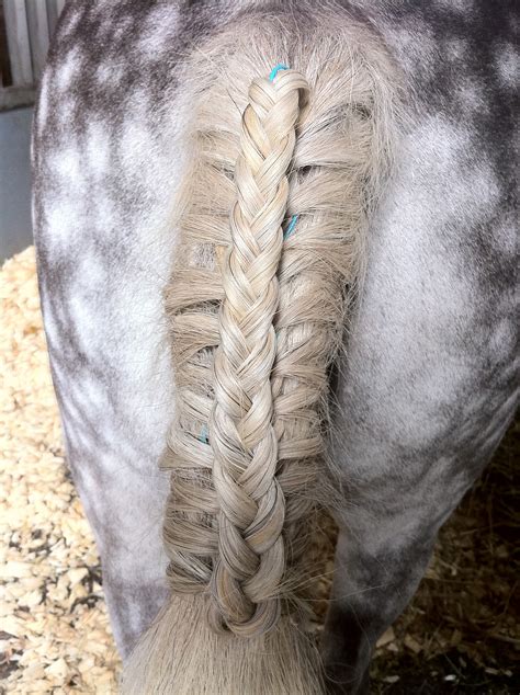 I believe that braiding your own hair can be a great creative outlet! A Hairdo for your horse: Braiding Wire it's the latest ...