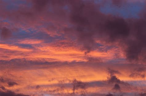 Fotos Gratis Paisaje Naturaleza Horizonte Ligero Nube Cielo