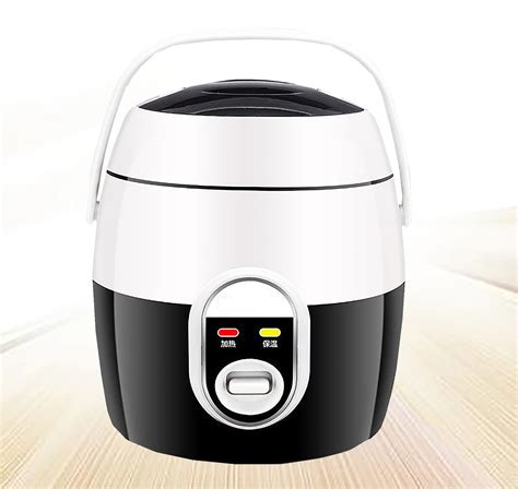 Buy Erzhuizi Mini Rice Cooker And Steamer Small Electric Food Steamer