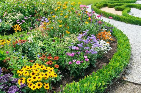 Small Perennial Garden Ideas 25 Best Full Sun Perennials Plants