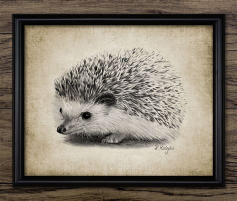 Hedgehog Pencil Drawing Printable Hedgehog Wall Art Hedgehog Etsy