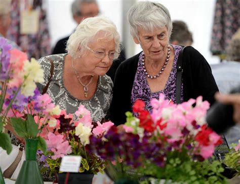 Pictures And Video Wem Sweet Pea Show Shropshire Star