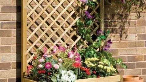 Canes And Trellises For Your Plants Decor Tips