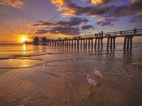 Su aeroporto naples le auto a noleggio più economiche di sixt per categoria sono Beautiful Beaches: Six Gems for Locals in Naples