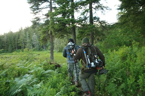 Bigfoot Field Researchers Organization Finding Bigfoot Animal Planet