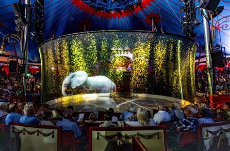 Un Cirque Remplace Les Animaux Par Des Hologrammes Lessentiel