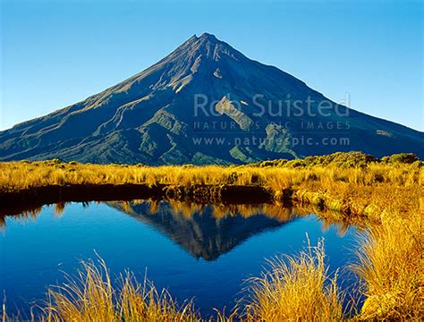 Mount Mt Egmonttaranaki 2518m Reflected In A Mountain Tarn On The
