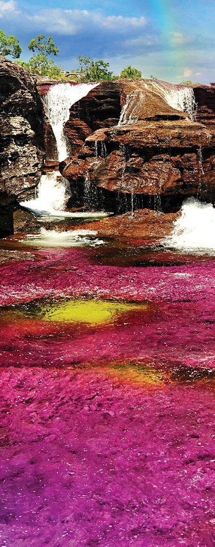 Caño Cristales River Liquid Rainbow River Of Five Colours La