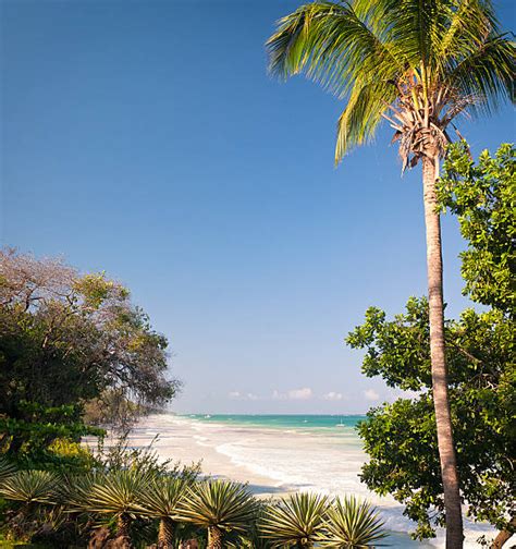 Mombasa Beach Stock Photos Pictures And Royalty Free Images Istock