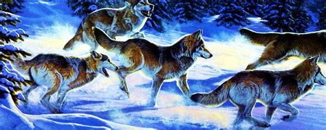 Run For The Moment Artwork Winter Predator Predators Snow