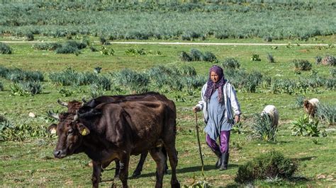 زرعی میدان میں خواتین کے لیے یکساں مواقع