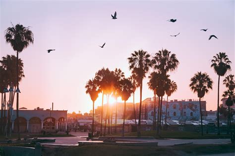 Venice Beach Los Angeles Wallpapers Wallpaper Cave