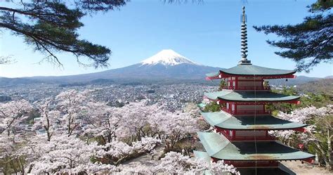 日本の絶景、満開の桜と五重塔と富士山 2019年4月21日 エキサイトニュース