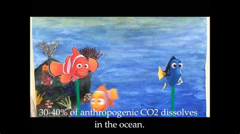 Saving Nemo Oceanography Project Youtube