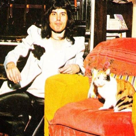 Founded as hit cats in the 1950s, called themselves fats and his cats from 1957. Freddie Mercury Was A Crazy Cat Guy! (20 pics) - Izismile.com